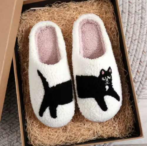 Black Cat Slides