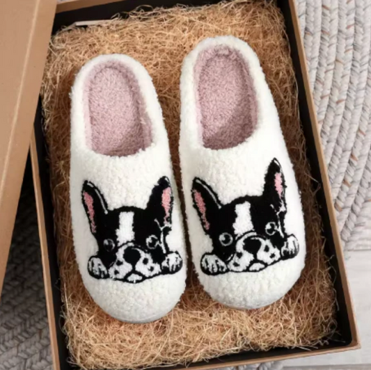 Frenchie Slides