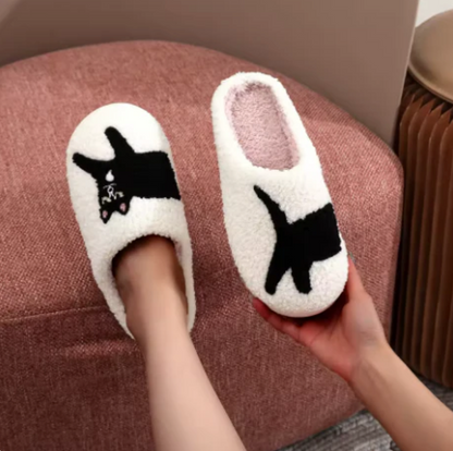 Black Cat Slides