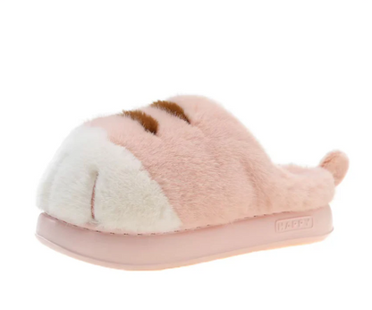 PurrPaws Slides